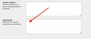 Inject script allows you to modify the font loading properties on a given page.