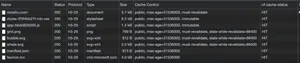 Looking at the cache hit rate once the page rules are enabled.