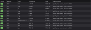 These are the default header values coming from the Netlify origin.