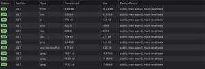 These are the default header values coming from the Netlify origin.
