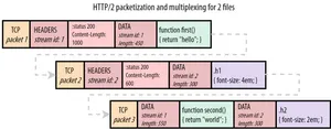 An example of HTTP/2 frames within TCP packets.