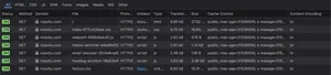 The result of my brotli modification on my Pro Cloudflare account. All assets that are served are now Brotli compressed.