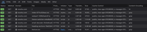 Screenshot from Firefox DevTools Network panel where in the far right where "br" Content-Encoding can only be seen on the HTML document. All other assets only show "gzip" compression.