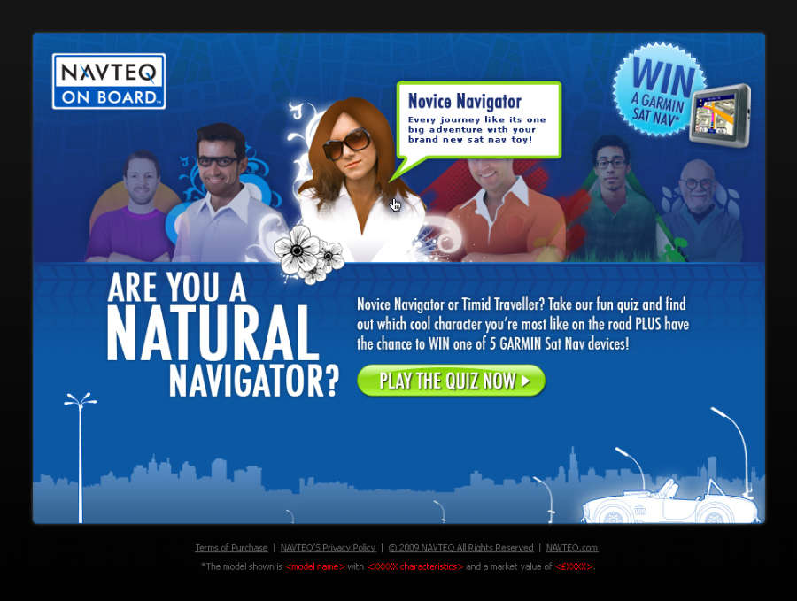 NAVTEQ customer profiling homepage.