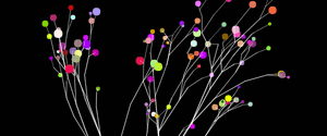 Creating 3D trees with some thumbnail image
