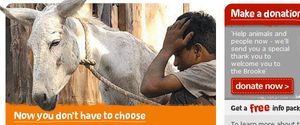 The Brooke Help Both Campaign thumbnail image