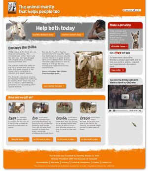 The Brooke help both donkey.